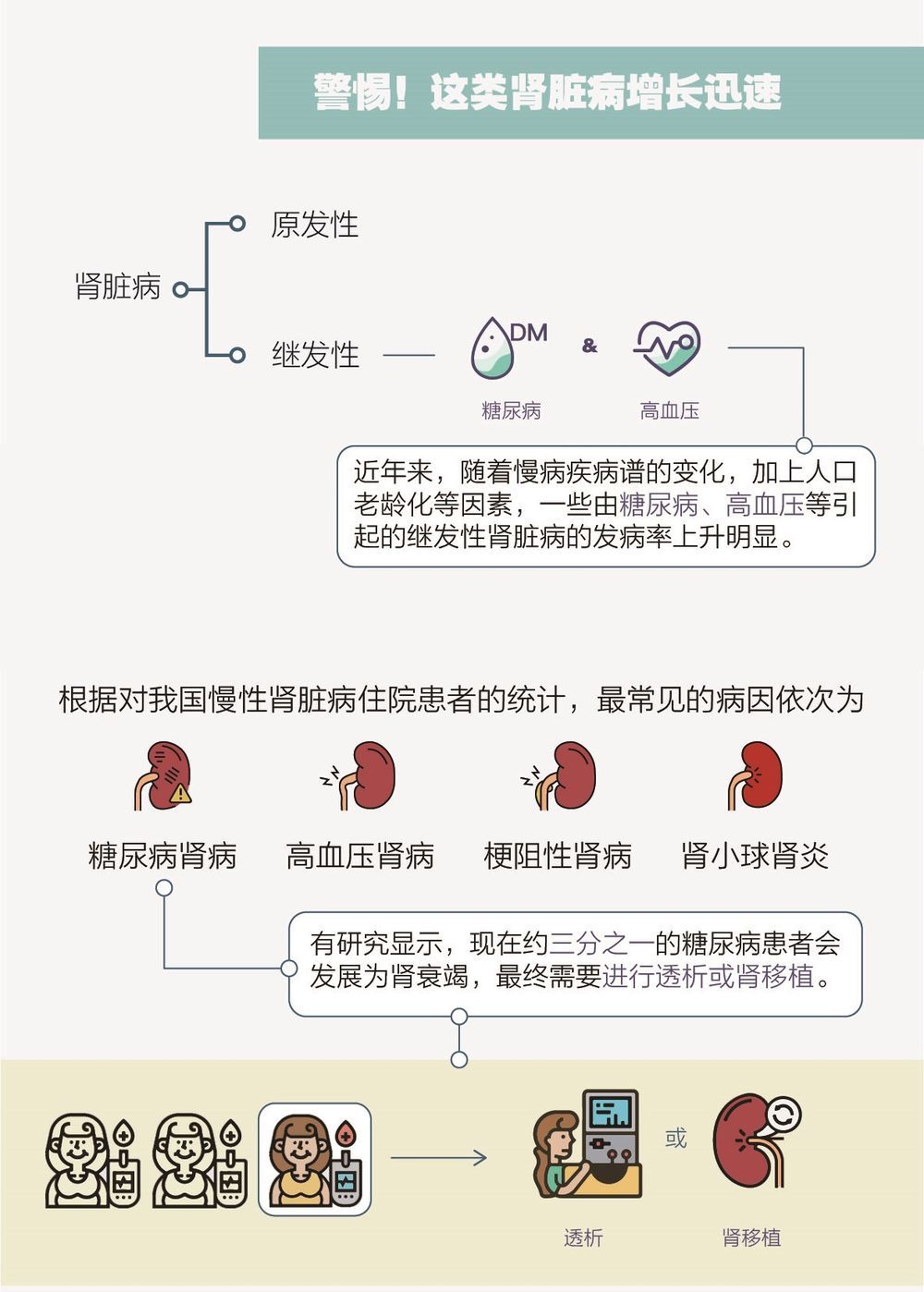 肾病最新研究成果揭秘，推动肾病治疗领域的新进展