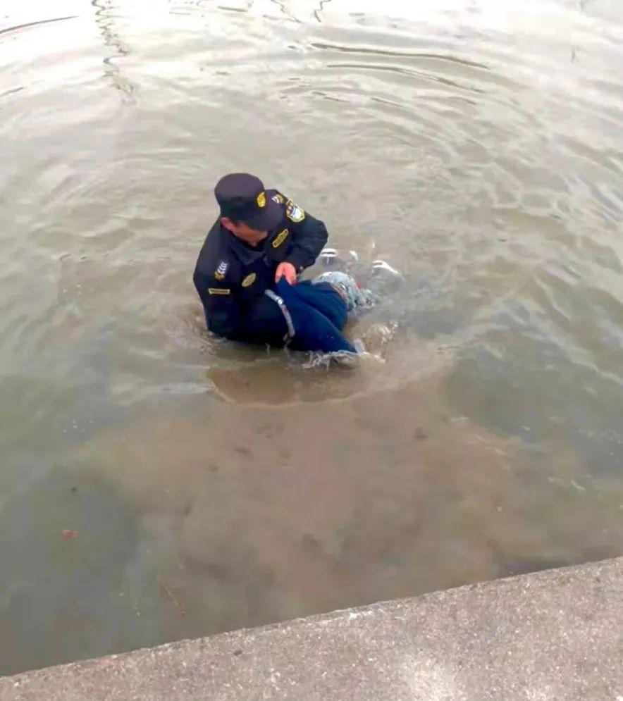 上海物业管理公司最新排行榜，寻找绿色港湾的宁静之地