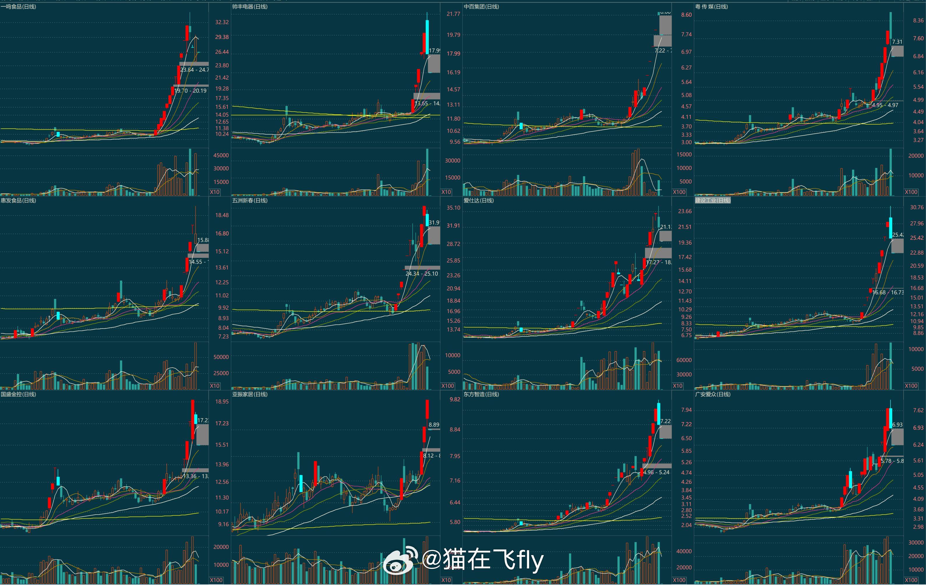 网行情趋势分析