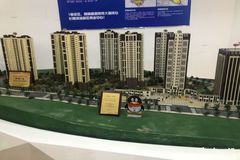 青岛滨海一号最新动态更新，最新信息汇总